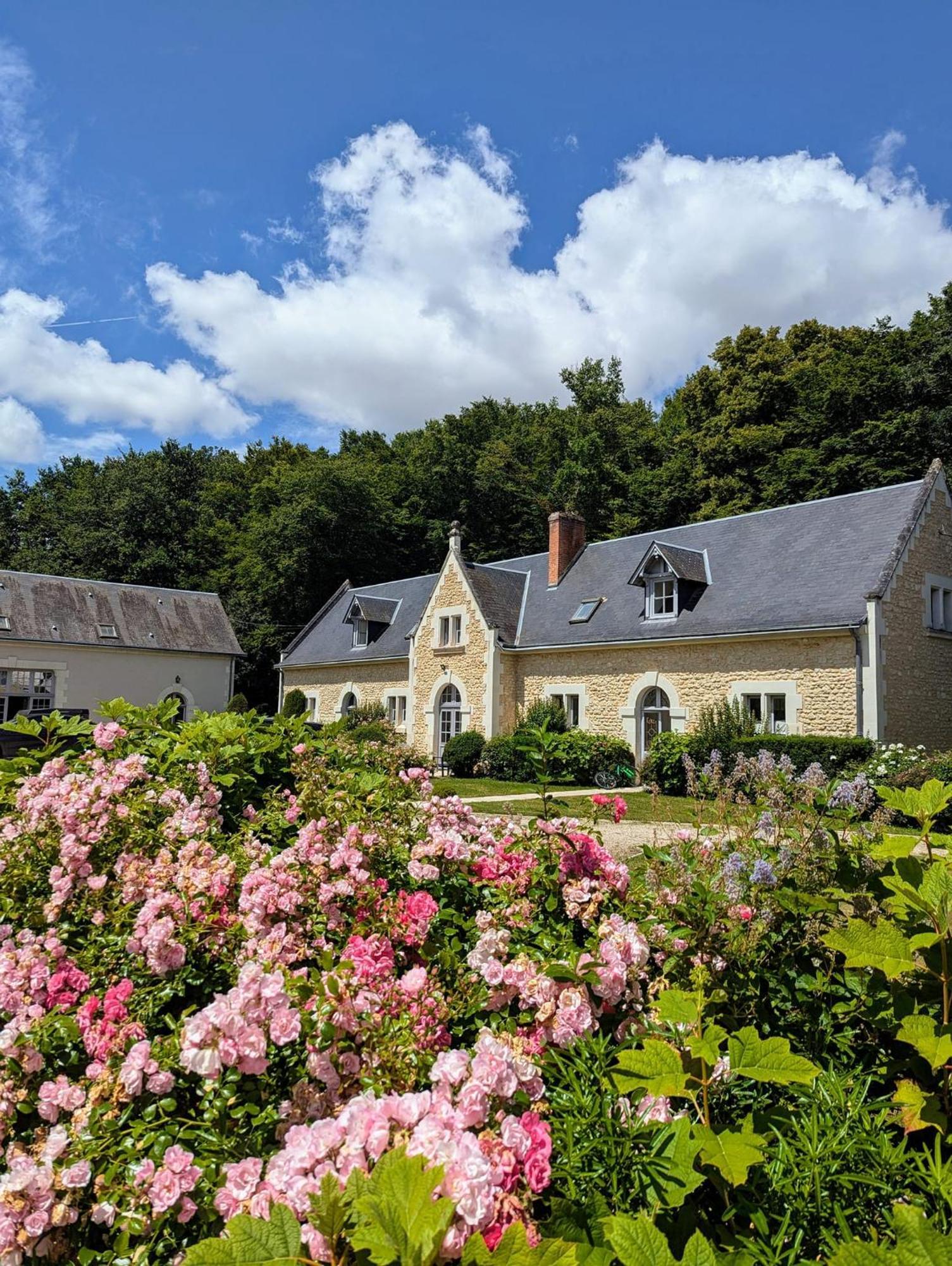Château de la Menaudière Chissay-en-Touraine Esterno foto